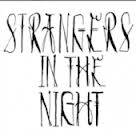 Strangers in the Night.jpg
