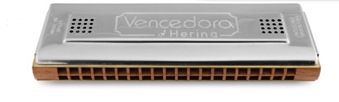 hering_vencedora_7680.PNG